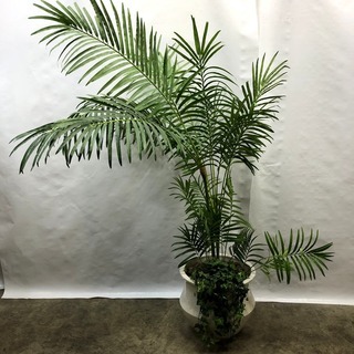 高級ホテル特注！大型フェイクグリーン 人工観葉植物 人工樹木 高...