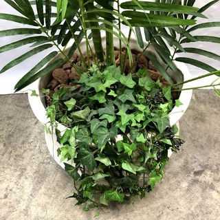 高級ホテル特注！大型フェイクグリーン 人工観葉植物 人工樹木 高さ180cm 造花 鉢植え インテリア 雑貨 喫茶店 美容室 ⑮の画像