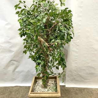 高級ホテル特注！フェイクグリーン 人工観葉植物 人工樹木 高さ1...