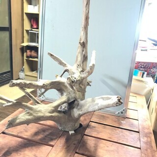 流木（Ｌ）￥2800