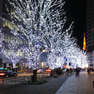 Anyone whose seeking Japanese le...