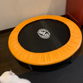 新品　トランポリンの画像