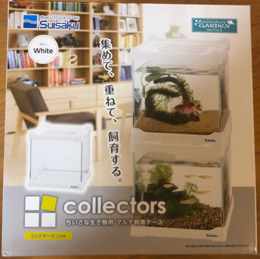 ?激レアなベタ　アルビノ！キャンディベタ♀とスイサクの水槽と餌もセットで！　41700円分を26000円で！詳しくは説明文を✨