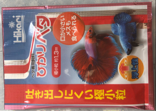 ?激レアなベタ　アルビノ！キャンディベタ♀とスイサクの水槽と餌もセットで！　41700円分を26000円で！詳しくは説明文を✨
