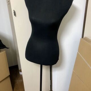 トルソー女性用の画像