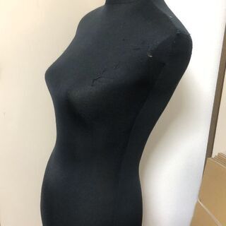 トルソー女性用の画像