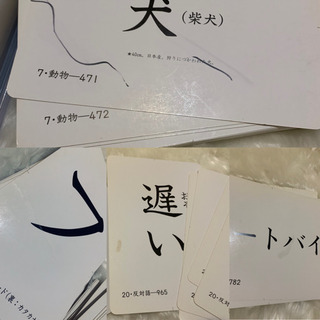 家庭保育園◼️教材◼️絵カード1000の画像