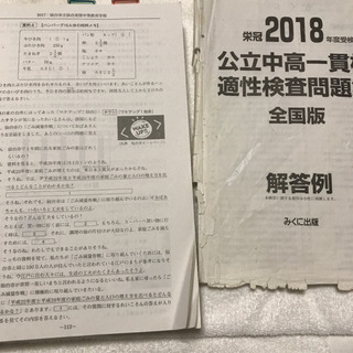 公立中高一貫校適性検査問題集 全国版 2018年度受検用の画像