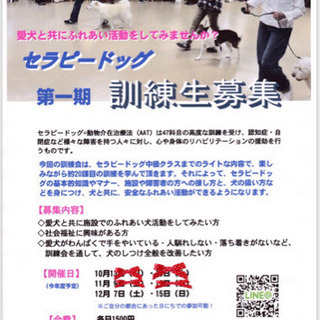 第5回セラピードッグ訓練会