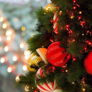 クリスマス撮影会