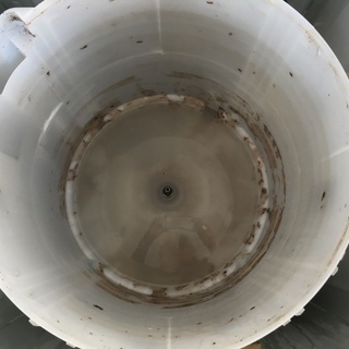 パナソニック6.0K洗濯機2016年製　分解クリーニング済み！！の画像
