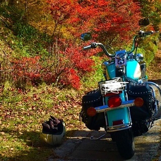 平日バイク乗り