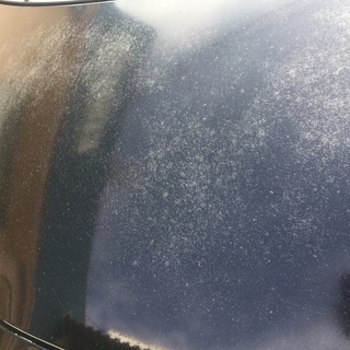 ヴィッツ　車検ありの画像