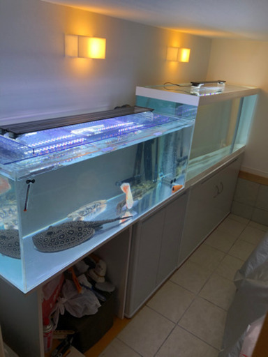 大型水槽　約2年使用　120×45x45 写真左側水槽のみ