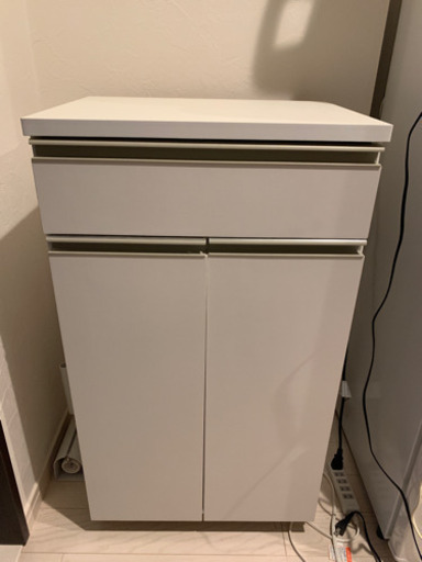 2019年購入 ダストボックス付収納棚（ダストペール分別）