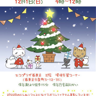 保護猫譲渡会