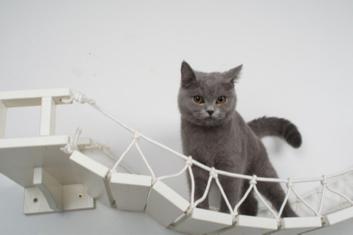 橋　猫　渡橋　木製　キャットウォーク　オシャレ　ホワイト