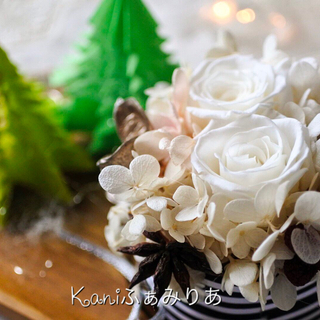 クリスマス単発レッスン♥クリスマスケーキプレート♥の画像