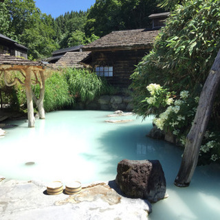 日帰り旅行　温泉仲間募集 - 宇都宮市