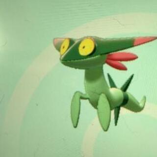 ポケモン交換しませんか？
