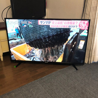 Hisense ハイビジョンLED液晶テレビ 43型 43A50 2019年製
