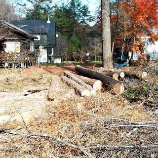 困った伐倒　伐採、承ります。