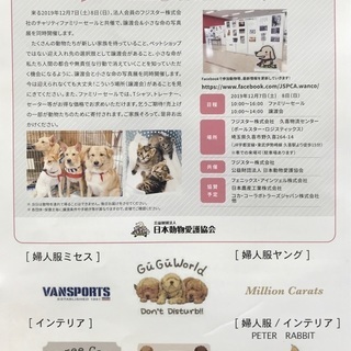 JSPCA譲渡会＆小さな命の写真展