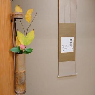 次回稽古日2月13、27木曜日午後六時半～九時までの間でお好きな時間にどうぞ。の画像