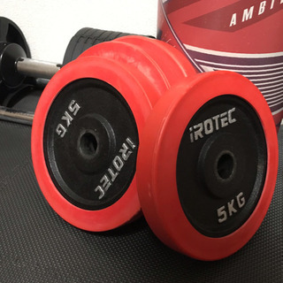IROTEC プレート 5kg 4枚20kg アイロテック ダン...