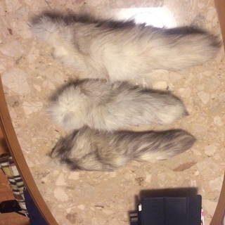 フォックス ３つ