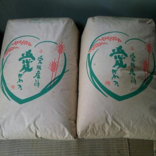 愛媛県産コシヒカリ  30kg  (30年度／29年度)