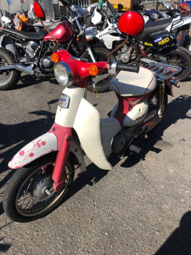 HONDA リトルカブ　c50 キック始動　福岡市南区