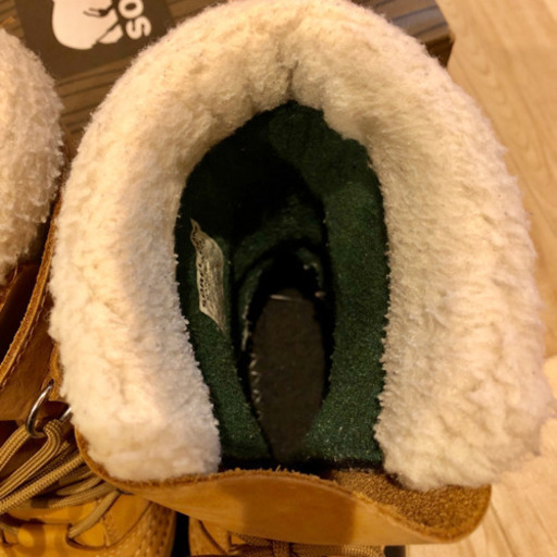 ソレル  カリブー 23㎝