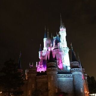 12/1にディズニーに一緒に行ける方募集