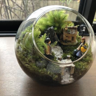 ✨✨🎶🌈苔リウムを広めたい🌈🎶✨✨