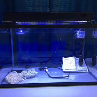 水槽セット 60cm