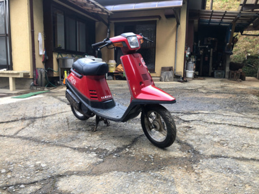 ペリカンジョグ