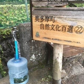高尾山でハイキング一緒にしませんか？