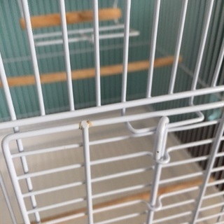 三晃商会 サンコーバードゲージ 40の画像