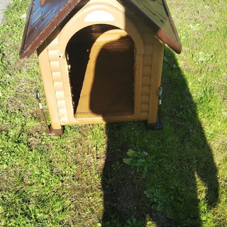 犬小屋