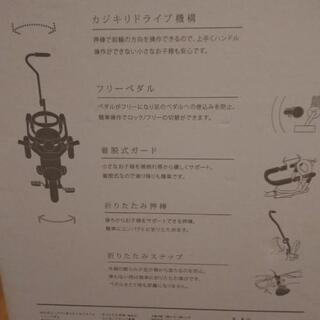 お洒落な三輪車　iimo#02 small&smartの画像