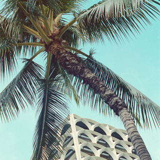 Nikon F4 プロ一眼レフフィルムカメラ の画像