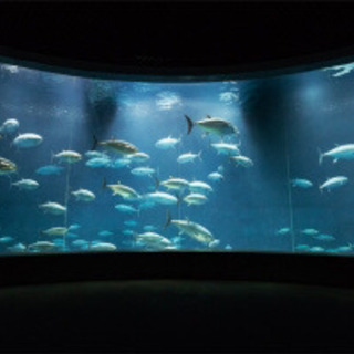 葛西臨海公園・水族園 - 友達