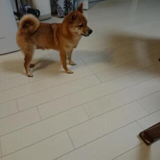 友達募集中です