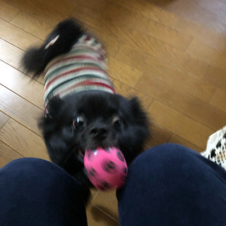 素敵なご縁がありました。ありがとうございました