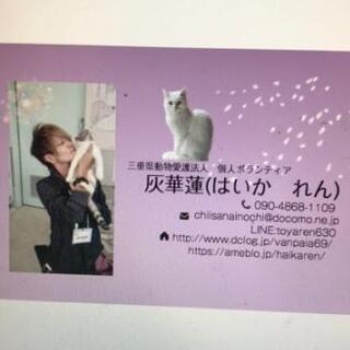 小さな命に生きる権利を、命に差はない。
