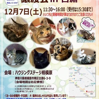 12/7（土）ハウジングステージ相模原　おーあみ避難所里親会開催！