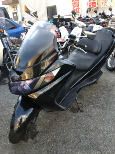 SUZUKI スカイウェブ250S セル始動　福岡市南区