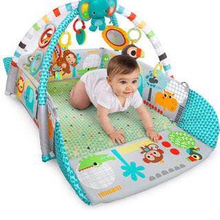 Bright Starts ブライトスターツ 5-in-1 ヨアウェイ・ボール・プレイジム の画像