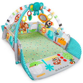 Bright Starts ブライトスターツ 5-in-1 ヨアウェイ・ボール・プレイジム の画像